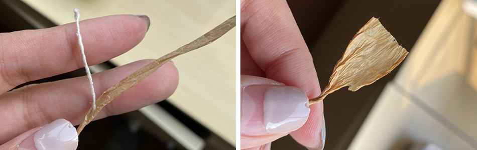 1678273160139089.jpg 纸草对比图.jpg